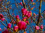 20070309 03.jpg